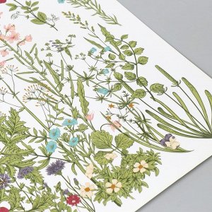 Наклейка пластик интерьерная цветная "Травы и полевые цветы" 50х70 см