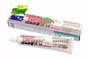 "Fudo Kagaku" "Рэкурэн" Зубная паста для защиты от кариеса и зубного камня отбеливающая с растительными экстрактами 80г