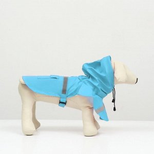 Дождевик для собак, размер XS (ДС 15-20, ОГ 17-22, ОШ 13-17 см), голубой
