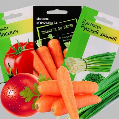 Семена + - Товары для отдыха и дачи по приятным ценам. Семена