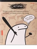 Тетрадь 48л &quot;Школьные мемасики&quot; по истории 48-9653 Проф-Пресс {Россия}