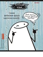 Тетрадь 48л &quot;Школьные мемасики&quot; по русскому языку 48-9661 Проф-Пресс {Россия}