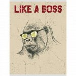 Тетрадь А4  48л клетка &quot;Boss&quot; Т4484961 Эксмо {Россия}