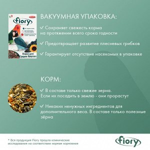 FIORY корм для средних попугаев Parrocchetti African 800 г