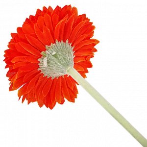 Цветок "Гербера" цвет - оранжевый, 42см, цветок - д6х3см (Китай)
