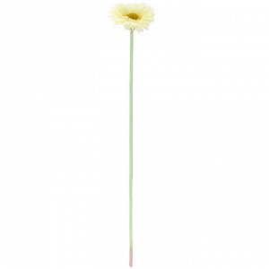 Цветок "Гербера" цвет - ванильный, 42см, цветок - д6х3см (Китай)