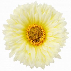 Цветок "Гербера" цвет - ванильный, 42см, цветок - д6х3см (Китай)
