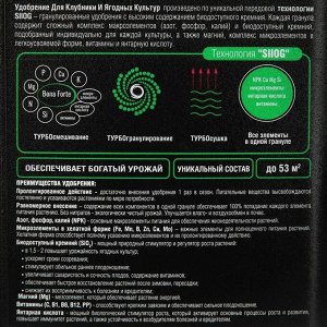 Bona Forte Удобрение гранулированное пролонгированное Для клубники и ягод 1 л. ведро