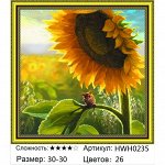 Алмазная мозаика круглые стразы 30х30 на подрамнике / Алмазная живопись