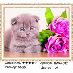 Алмазная мозаика круглые стразы 40х50 на подрамнике / Алмазная живопись
