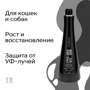 ISB Black Passion 02 Маска энергетическая и восстанавливающая с аргановым маслом 1 л