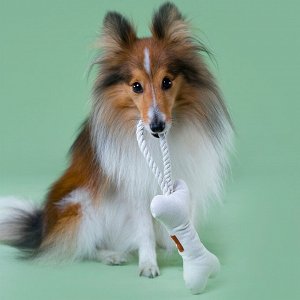 Игрушка Mr.Kranch для собак мелких и средних пород Косточка с канатом 31х9х4см, бежево-пятнистая