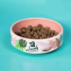 Миска Mr.Kranch для собак и кошек из фарфора "Тропики", 350мл, розовая