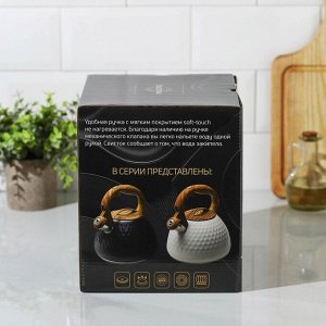 Чайник со свистком из нержавеющей стали Magistro Heat, 3 л, ТРС, индукция, ручка soft-touch, цвет чёрный