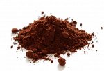 Какао-порошок Extra Brute 22/24% Cacao Barry (Франция), 100 г