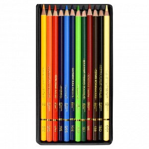 Набор цветных карандашей деревянных, КЛАССИК 12, 12 цв., картонная коробка с европодвесом, выборочным лаком и золотистым тиснением+пластиковая подложка для карандашей