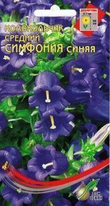 Колокольчик Симфония синий