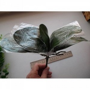 Листья орхидеи фаленопсис с корнями (искусственные)