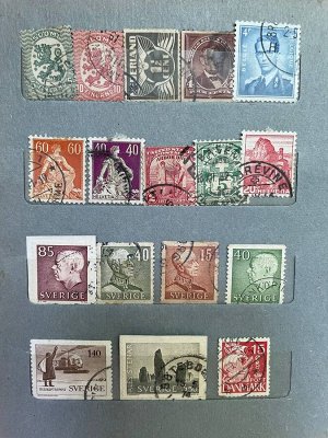 Альбом  коричневый Грибы 1-47-178  коричневый 18*14см