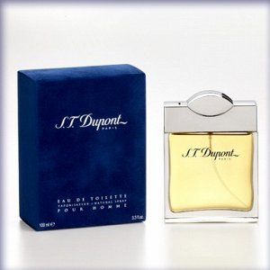 DUPONT edt 100ml (m)