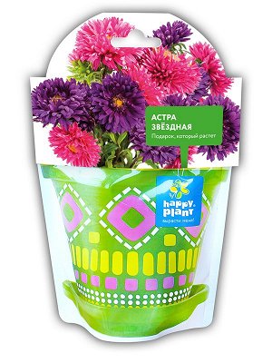 Астра звездная набор для выращивания Happy Plant