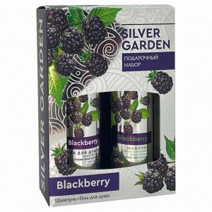 ПН Silver Garden женский СМОРОДИНА & МЯТА (шампунь250+гель д/д 250)