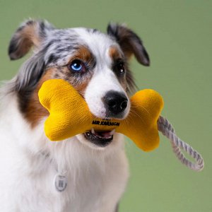 Игрушка Mr.Kranch для собак мелких и средних пород Косточка с канатом 31х9х4см, желтая