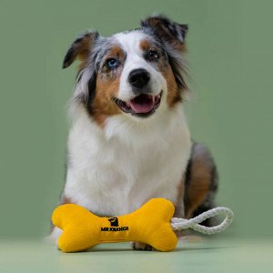 Игрушка Mr.Kranch для собак мелких и средних пород Косточка с канатом 31х9х4см, желтая