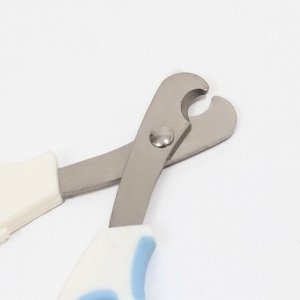 Ножницы-когтерезы средние с упором для пальца, 12 х 4,5 х 1,4 см, эконом, микс цветов