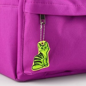 Светоотражающий элемент «Кошечка», двусторонний, 5,9 x 4,7 см