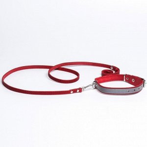 Комплект ошейник (34-45х2 см) светоотражающий и поводок (130х1 см), красный