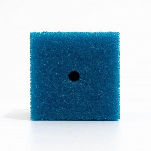 Губка прямоугольная для фильтра № 10, крупнопористая, 10 х 10 х 14 см, синяя