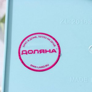 Подставка - органайзер для канцелярии, 2 ячейки, 13.3x8.3x13.2 см, МИКС