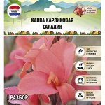 Канна Карликовая &quot;Саладин&quot;, р-р I, 1 шт, Весна 2023