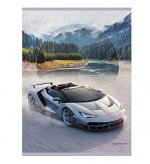 Тетр А4 80 л клет Драйв Т4804740