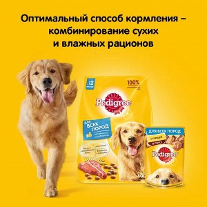 Сухой корм для собак Pedigree для крупных пород, говядина, 13кг