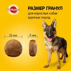 Сухой корм для собак Pedigree для крупных пород, говядина, 13кг