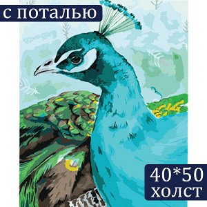 Картина по номерам на холсте ТРИ СОВЫ ""Павлин"", 40*50, с поталью, акриловыми красками и кистями