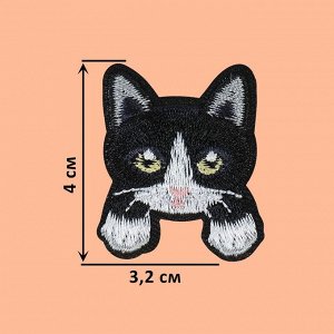 Термоаппликация «Котёнок с лапками», 4 x 3,2 см, цвет чёрный