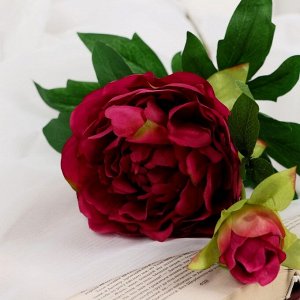 Цветы искусственные "Пион дуо" 12х60 см, бордовый