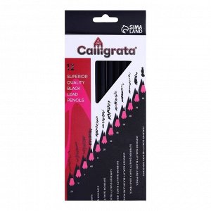 Calligrata Набор карандашей чернографитных, 12 штук, твёрдость 2Н - 8В, гранённые, заточенные, в картонной коробке