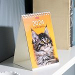 Календарь настольный, домик &quot;Мурчат коты&quot; 2024, 10,5х16 см