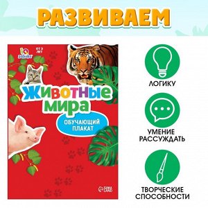 Обучающий набор «Весёлые животные»: животные и плакат, по методике Монтессори