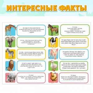 Обучающий набор «Весёлые животные»: животные и плакат, по методике Монтессори