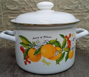 Кастрюля эм. 3,0л С1612АП2/4 Фруктовая фантазия