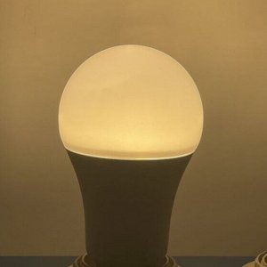 ЛАМПА СВЕТОДИОДНАЯ LED-A65-Regular 20Вт 176-265В Е27 3000К 1900Лм