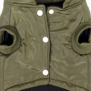 Куртка для собак "Прятки", размер M, зелёная
