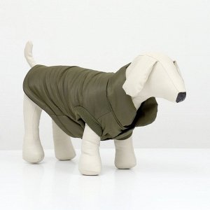 Куртка для собак "Прятки", размер S (ДС 25, ОГ 35, ОШ 25 см) зелёная