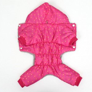 Комбинезон "нежный путь" на меховом подкладе, размер S (ДС 25, ОШ 25, ОГ 35 см), розовый