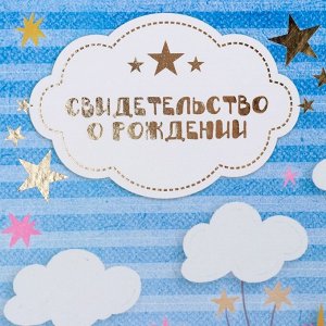 Папка для свидетельства о рождении, тиснение, А4 «Единорог»